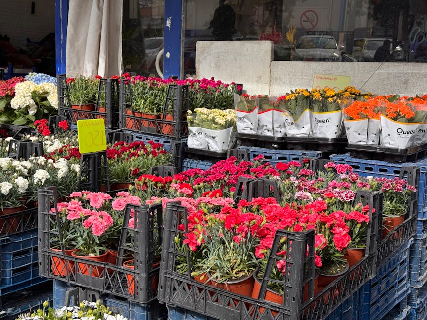 A display of vibrant, fresh flowers arranged in terracotta pots on black plastic trays outside a flower shop. The flowers include pink, red, white, yellow, and orange blooms, such as carnations and ch