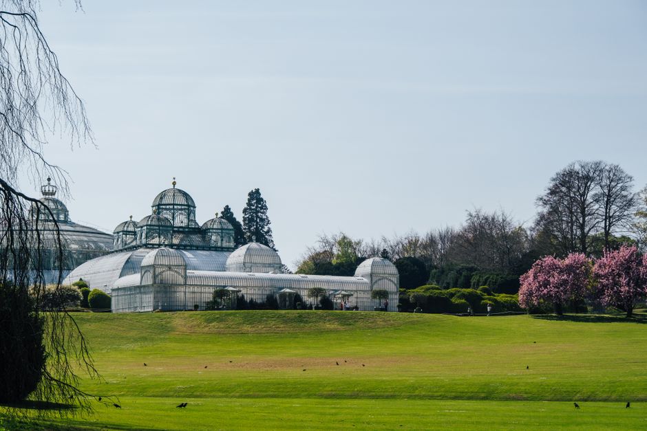 A large greenhouse with multiple glass domes and arched sections, situated in a lush green park with well-maintained lawns and a variety of trees, including some with pink blossoms. The scene is lit b
